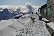 34 Alla Baita Venturosa-del Giacom (1834 m)
